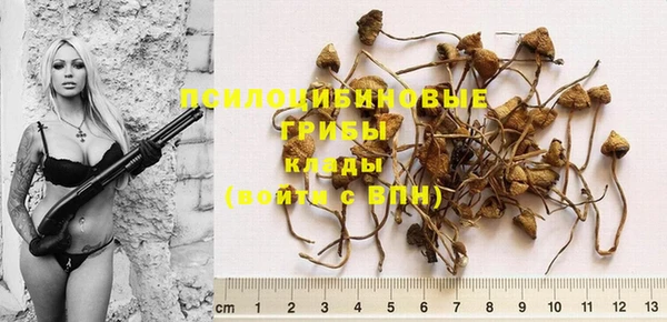 бутират Балахна