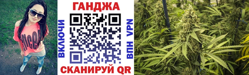 Конопля сатива  Городище 